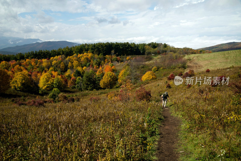 秋天在北卡罗莱纳州的Max Patch徒步旅行